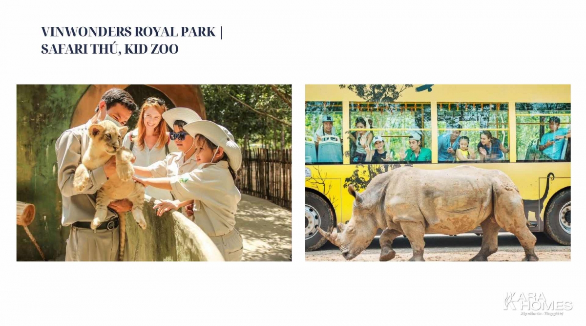 Vinwonders Royal Park | Safari Thú & Kid Zoo