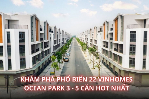 Khám phá Phố Biển 22 Vinhomes Ocean Park 3 - 5 căn hot nhất