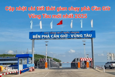 Cập nhật chi tiết thời gian chạy phà Cần Giờ Vũng Tàu mới nhất 2025