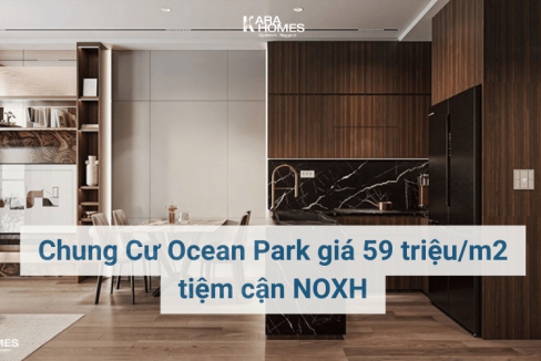 Chung Cư Ocean Park giá 59 triệu/m2 tiệm cận NOXH có nên mua không?