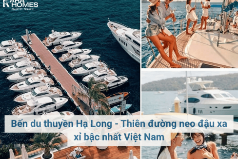 Bến du thuyền Hạ Long - Thiên đường neo đậu xa xỉ bậc nhất Việt Nam