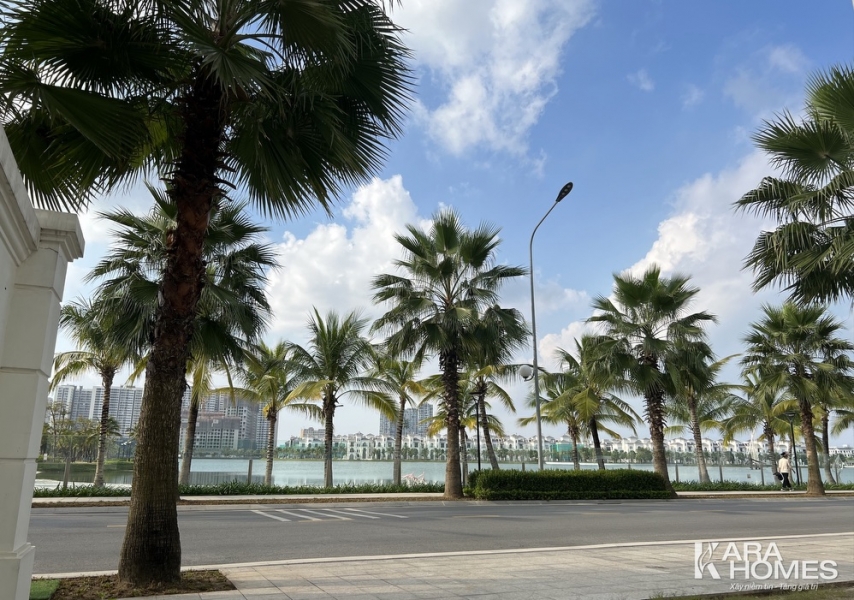 Bán biệt thự đơn lập Hải Âu 1 Vinhomes Ocean Park Shophouse HA1-133: đặc quyền kinh doanh sinh lời bền vững