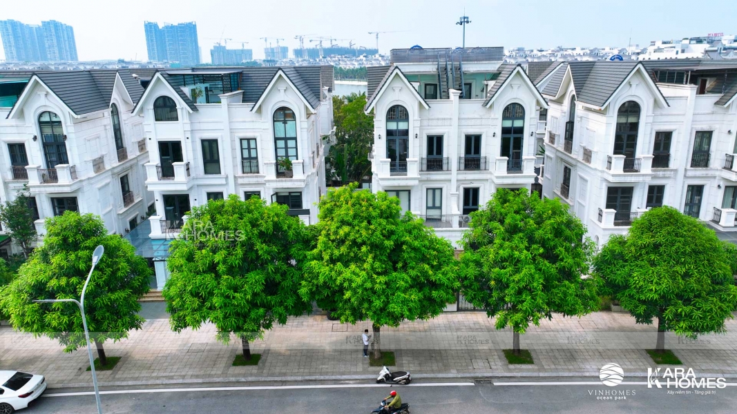 Biệt thự song lập Vinhomes Ocean Park 1 PK Hải Âu - HA01-1xx - Mặt đường lớn - Giá đầu tư