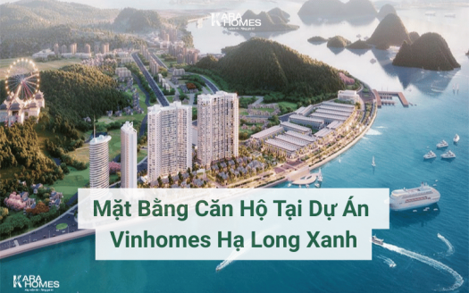 Mặt Bằng Căn Hộ Tại Dự Án Vinhomes Hạ Long Xanh
